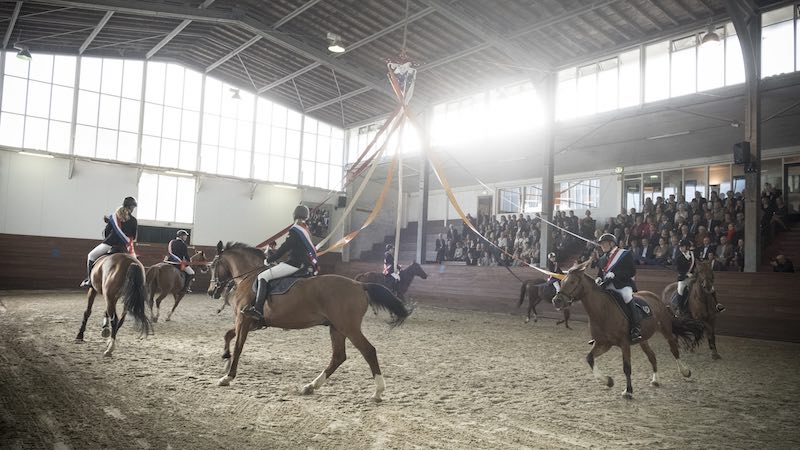 Manege Rotterdam